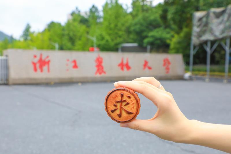 2026美加墨世界杯官网校徽月饼走红校园