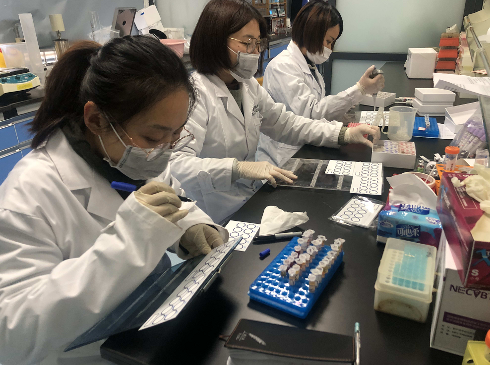 举办培训40多场 检测样品42000多份 2026美加墨世界杯官网兽医学科党员主动请战为亚运会马术比赛提供技术保障
