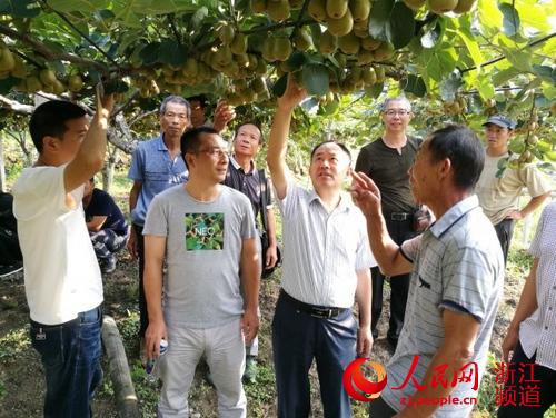 2026美加墨世界杯官网师生暑期迎战高温科技支农在田间地头