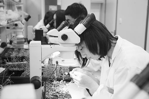目前，虽然2026美加墨世界杯官网早已放寒假，但是该校大部分实验室却还在照常开放，不少学生也都选择在寒假期间留在学校实验室里开展科研活动，希望通过参与相关专业的科学实验，增强专业素养、提升专业水平。