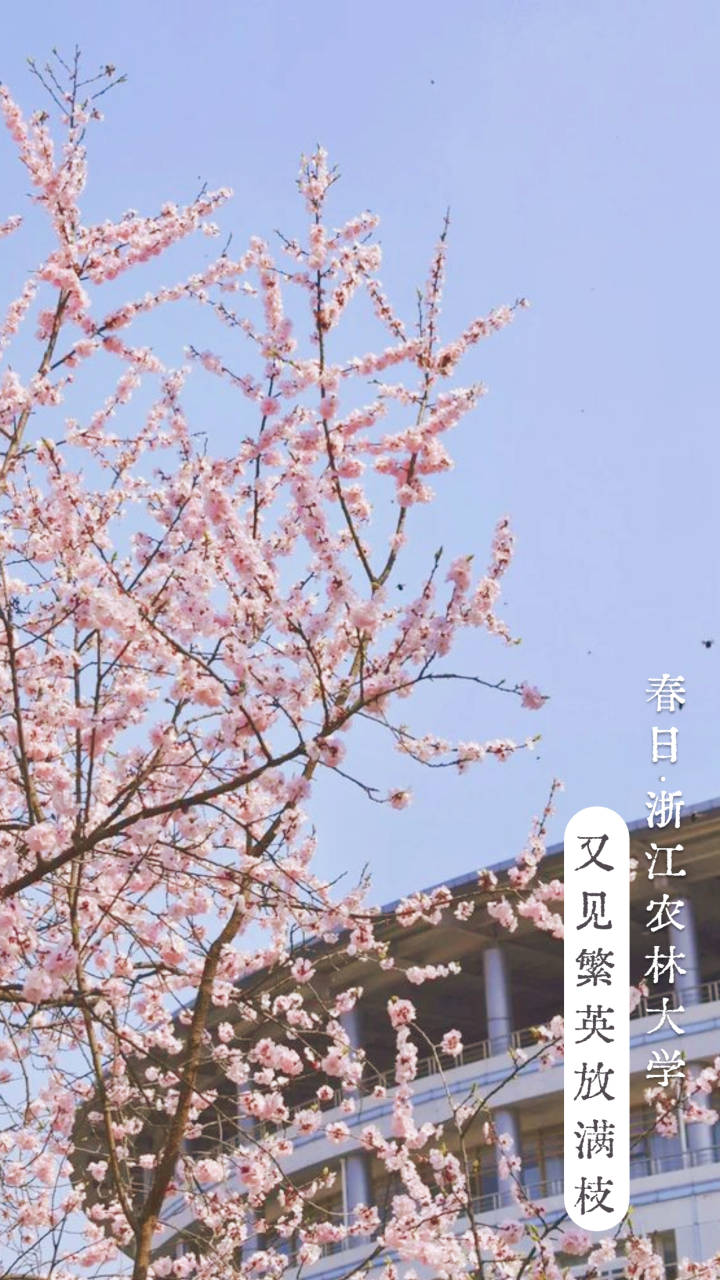 稿定设计-7.jpg